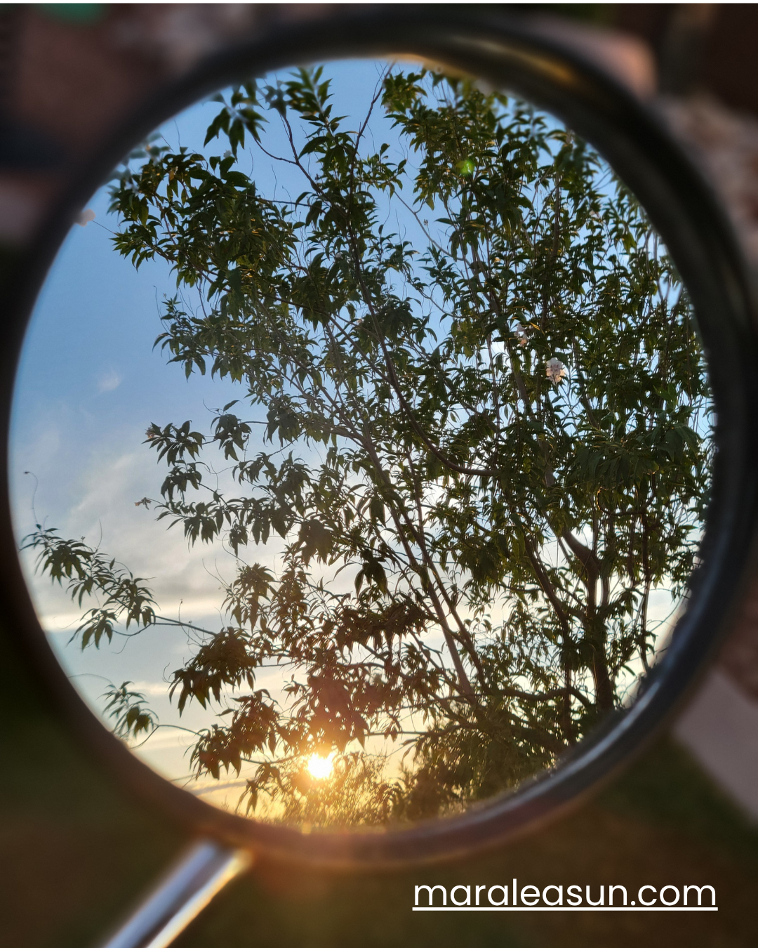 When Every Voice Sounds Loud, Where Do We Find Calm?